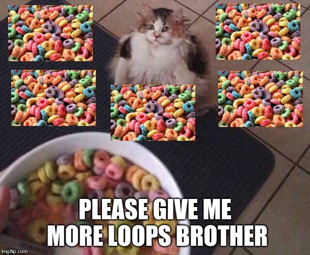 Fruit Loops | PLEASE GIVE ME MORE LOOPS BROTHER | image tagged in fruit loops | made w/ Imgflip meme maker
