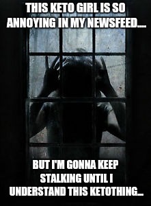 Window stalker | THIS KETO GIRL IS SO ANNOYING IN MY NEWSFEED.... BUT I'M GONNA KEEP STALKING UNTIL I UNDERSTAND THIS KETOTHING... | image tagged in window stalker | made w/ Imgflip meme maker