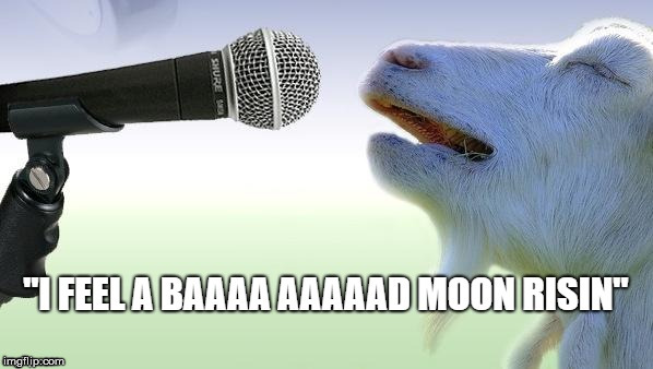 Bad moon rising | image tagged in funny goat,goat | made w/ Imgflip meme maker