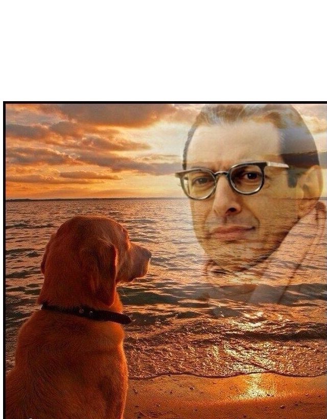High Quality Philosophy Dog With Goldblum Blank Meme Template
