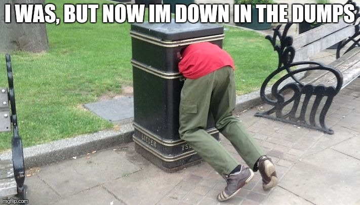 Guy in trash can | I WAS, BUT NOW IM DOWN IN THE DUMPS | image tagged in guy in trash can | made w/ Imgflip meme maker