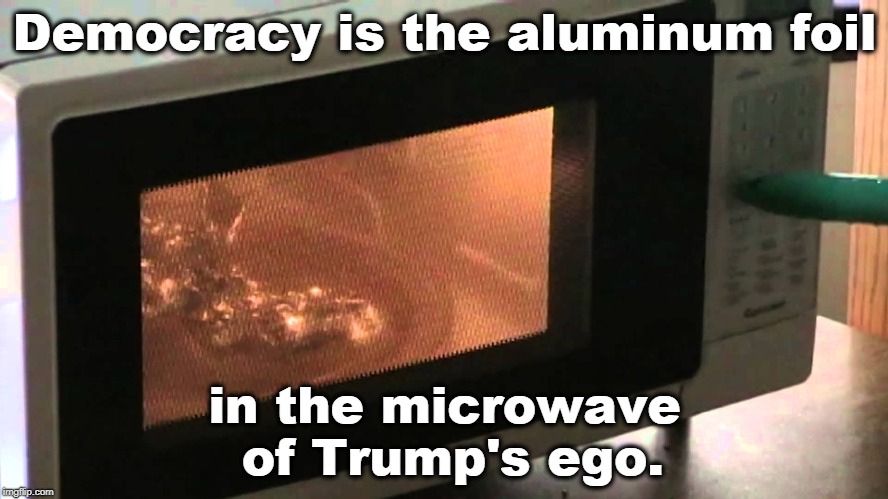 Democracy is the aluminum foil; in the microwave of Trump's ego. | image tagged in democracy,trump,ego | made w/ Imgflip meme maker
