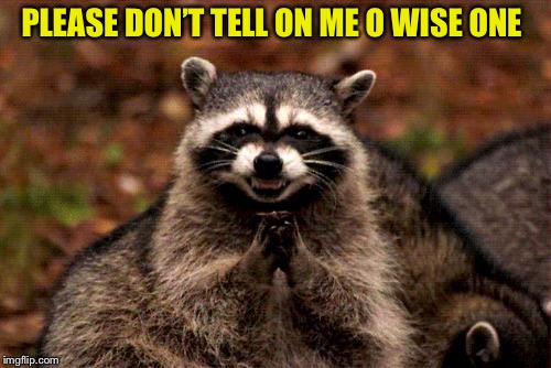 Evil Plotting Raccoon Meme | PLEASE DON’T TELL ON ME O WISE ONE | image tagged in memes,evil plotting raccoon | made w/ Imgflip meme maker