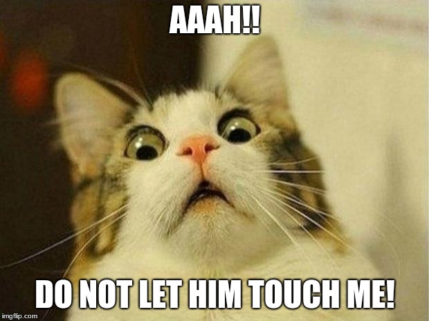 Scared Cat Meme | AAAH!! DO NOT LET HIM TOUCH ME! | image tagged in memes,scared cat | made w/ Imgflip meme maker
