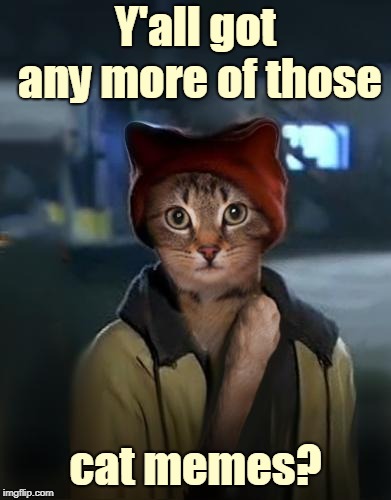 Y'all got any more of those cat memes? | made w/ Imgflip meme maker