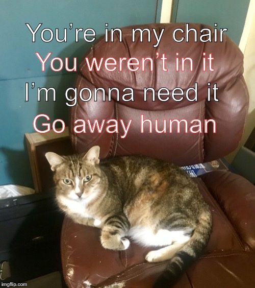 Starting to work in the morning be like | You weren’t in it; You’re in my chair; I’m gonna need it; Go away human | image tagged in cat in chair,work,cats,memes | made w/ Imgflip meme maker