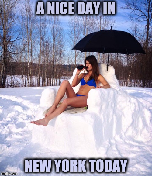 Sun bathing | A NICE DAY IN NEW YORK TODAY | image tagged in sun bathing | made w/ Imgflip meme maker
