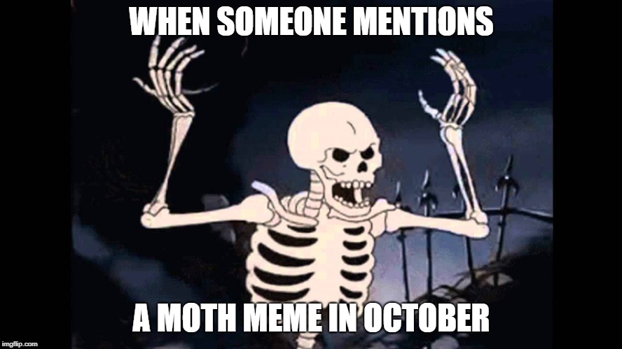 Spooky Skeleton | WHEN SOMEONE MENTIONS; A MOTH MEME IN OCTOBER | image tagged in spooky skeleton | made w/ Imgflip meme maker