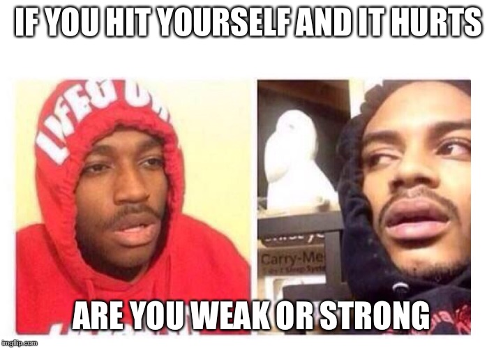 Hits blunt | IF YOU HIT YOURSELF AND IT HURTS; ARE YOU WEAK OR STRONG | image tagged in hits blunt | made w/ Imgflip meme maker