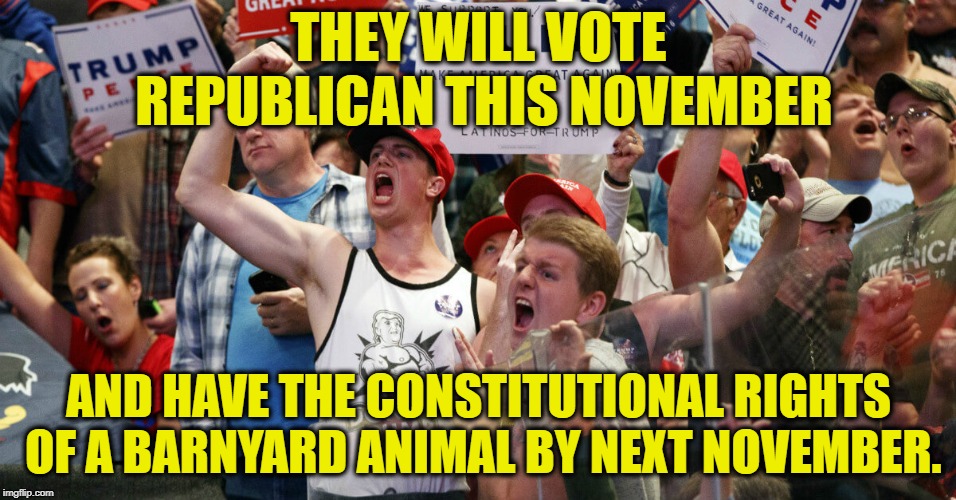 Cheering The Destruction Of The Basic Freedoms They Take For Granted | THEY WILL VOTE REPUBLICAN THIS NOVEMBER; AND HAVE THE CONSTITUTIONAL RIGHTS OF A BARNYARD ANIMAL BY NEXT NOVEMBER. | image tagged in republicans,election,voters,ignorance,constitution,freedom | made w/ Imgflip meme maker