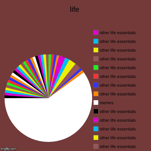 life | other life essentials, other life essentials, other life essentials, other life essentials, other life essentials, other life essenti | image tagged in funny,pie charts | made w/ Imgflip chart maker