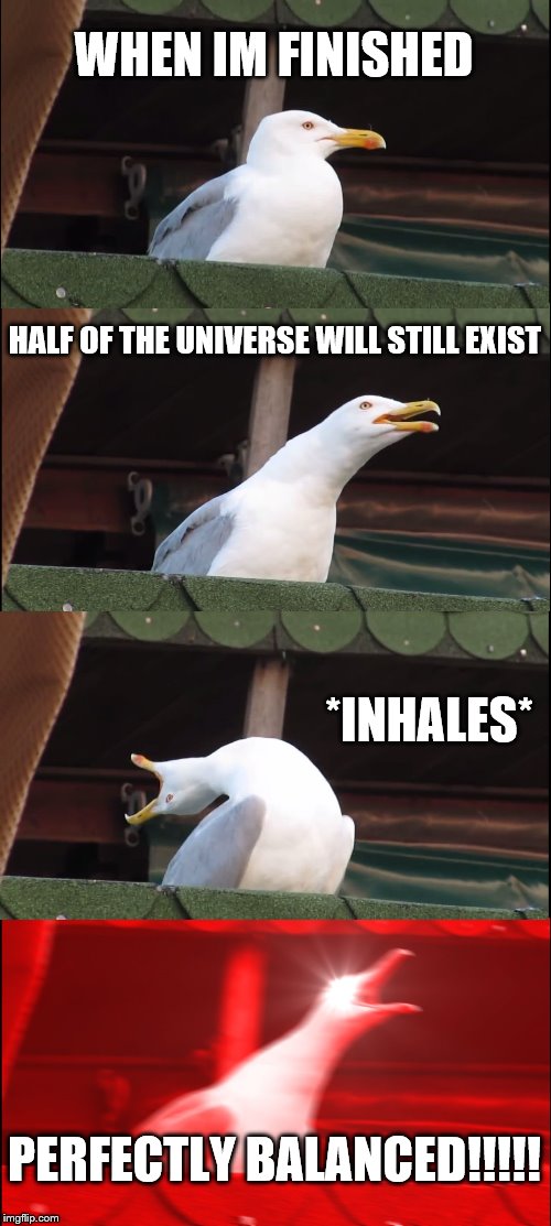 Inhaling Seagull | WHEN IM FINISHED; HALF OF THE UNIVERSE WILL STILL EXIST; *INHALES*; PERFECTLY BALANCED!!!!! | image tagged in memes,inhaling seagull | made w/ Imgflip meme maker
