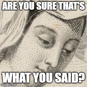 sample | ARE YOU SURE THAT'S; WHAT YOU SAID? | image tagged in sample | made w/ Imgflip meme maker