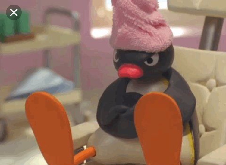 Pingu towel Blank Meme Template