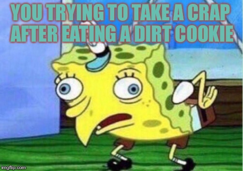 Mocking Spongebob | YOU TRYING TO TAKE A CRAP AFTER EATING A DIRT COOKIE | image tagged in memes,mocking spongebob | made w/ Imgflip meme maker