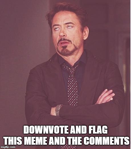 Face You Make Robert Downey Jr | DOWNVOTE AND FLAG THIS MEME AND THE COMMENTS | image tagged in memes,face you make robert downey jr | made w/ Imgflip meme maker