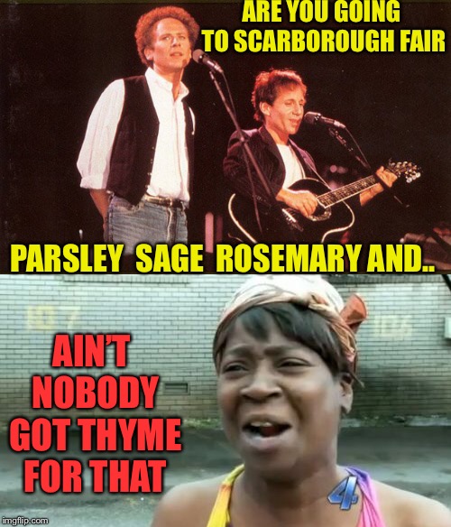 Wat dem white boys singin’ Bout’ ? | ARE YOU GOING TO SCARBOROUGH FAIR; PARSLEY  SAGE  ROSEMARY AND.. AIN’T NOBODY GOT THYME FOR THAT | image tagged in simon  garfunkel,scarbourgh fair,missheard lyrics,youre probably not old enough to know the song | made w/ Imgflip meme maker