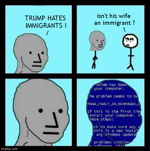 NPC ERROR | TRUMP HATES IMMIGRANTS !         / isn't his
wife an immigrant
? | image tagged in npc error | made w/ Imgflip meme maker