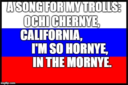 Russian Flag | A SONG FOR MY TROLLS:; OCHI CHERNYE, CALIFORNIA,                 I'M SO HORNYE,         IN THE MORNYE. | image tagged in russian flag | made w/ Imgflip meme maker