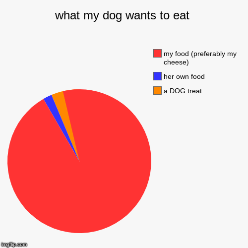 what my dog wants to eat | a DOG treat, her own food, my food (preferably my cheese) | image tagged in funny,pie charts | made w/ Imgflip chart maker