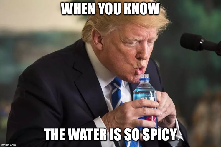 Trump Water | WHEN YOU KNOW; THE WATER IS SO SPICY | image tagged in trump water | made w/ Imgflip meme maker