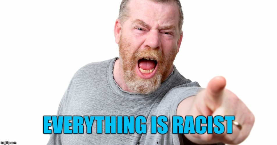 angry man shouting and pointing | EVERYTHING IS RACIST | image tagged in angry man shouting and pointing | made w/ Imgflip meme maker