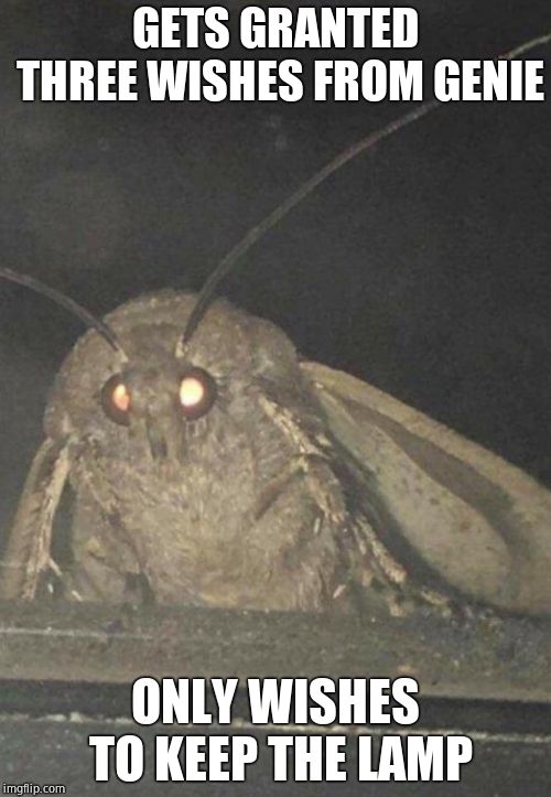 Moth | GETS GRANTED THREE WISHES FROM GENIE; ONLY WISHES TO KEEP THE LAMP | image tagged in moth | made w/ Imgflip meme maker