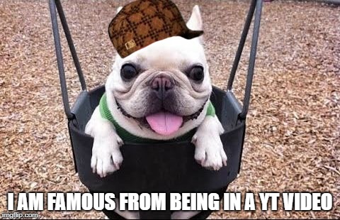 I AM FAMOUS FROM BEING IN A YT VIDEO | image tagged in puppys and puppys and puppys and puppys and puppys and puppys,scumbag | made w/ Imgflip meme maker