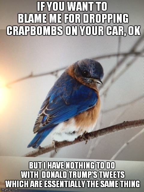 Tweety Amin | IF YOU WANT TO BLAME ME FOR DROPPING CRAPBOMBS ON YOUR CAR, OK; BUT I HAVE NOTHING TO DO WITH  DONALD TRUMP'S TWEETS WHICH ARE ESSENTIALLY THE SAME THING | image tagged in twitter | made w/ Imgflip meme maker
