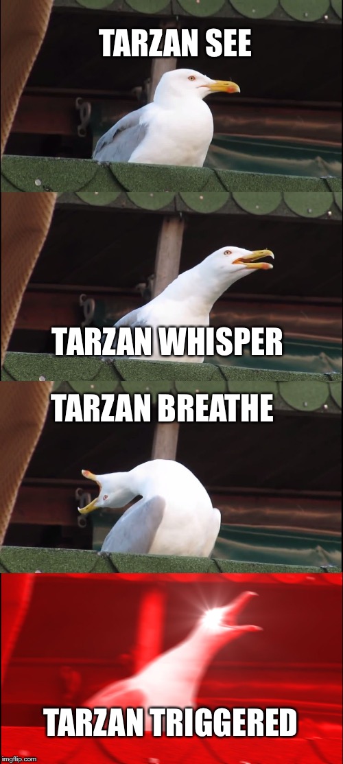 Inhaling Seagull | TARZAN SEE; TARZAN WHISPER; TARZAN BREATHE; TARZAN TRIGGERED | image tagged in memes,inhaling seagull | made w/ Imgflip meme maker