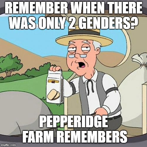 Pepperidge Farm Remembers Meme | REMEMBER WHEN THERE WAS ONLY 2 GENDERS? PEPPERIDGE FARM REMEMBERS | image tagged in memes,pepperidge farm remembers | made w/ Imgflip meme maker
