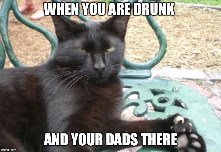 WHEN YOU ARE DRUNK; AND YOUR DADS THERE | image tagged in one does not simply | made w/ Imgflip meme maker