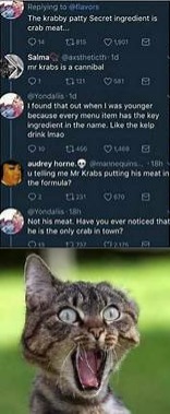 OMG!! | image tagged in wtf cat | made w/ Imgflip meme maker