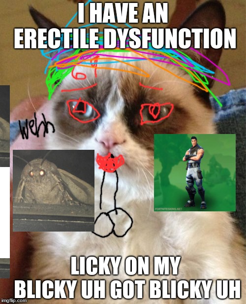Grumpy Cat Meme | I HAVE AN ERECTILE DYSFUNCTION; LICKY ON MY BLICKY UH GOT BLICKY UH | image tagged in memes,grumpy cat | made w/ Imgflip meme maker