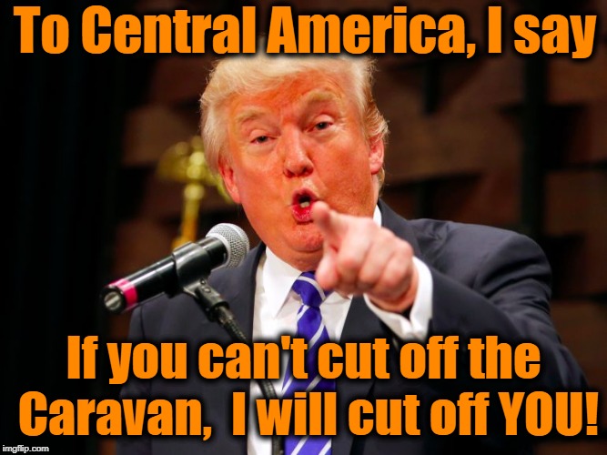 US President Trump is not happy! | To Central America, I say; If you can't cut off the Caravan,  I will cut off YOU! | image tagged in trump point | made w/ Imgflip meme maker