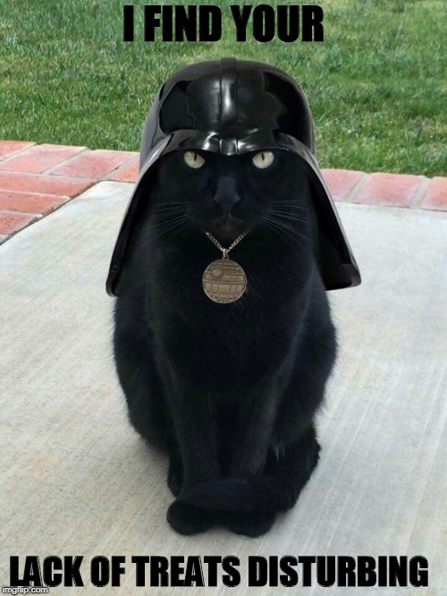Vader Cat | I FIND YOUR; LACK OF TREATS DISTURBING | image tagged in darth vader,cat,treats | made w/ Imgflip meme maker
