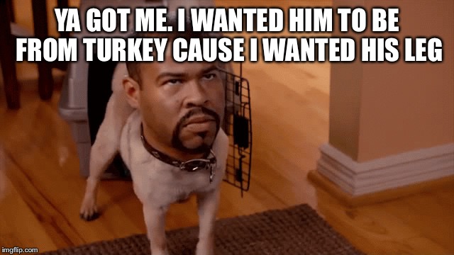 Noice | YA GOT ME. I WANTED HIM TO BE FROM TURKEY CAUSE I WANTED HIS LEG | image tagged in noice | made w/ Imgflip meme maker