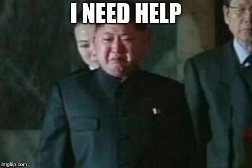 Kim Jong Un Sad Meme | I NEED HELP | image tagged in memes,kim jong un sad | made w/ Imgflip meme maker