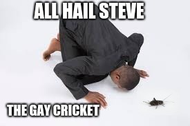 Steve Cricket of Gayness | ALL HAIL STEVE; THE GAY CRICKET | image tagged in too damn high | made w/ Imgflip meme maker