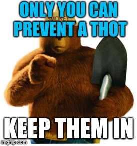 Smokey Bear | ONLY YOU CAN PREVENT A THOT; KEEP THEM IN | image tagged in smokey bear | made w/ Imgflip meme maker