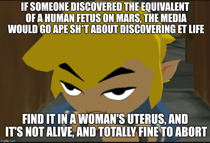 Frustrated Link | IF SOMEONE DISCOVERED THE EQUIVALENT OF A HUMAN FETUS ON MARS, THE MEDIA WOULD GO APE SH*T ABOUT DISCOVERING ET LIFE FIND IT IN A WOMAN'S UT | image tagged in frustrated link | made w/ Imgflip meme maker