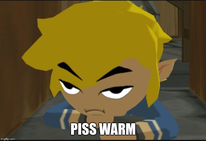 Frustrated Link | PISS WARM | image tagged in frustrated link | made w/ Imgflip meme maker