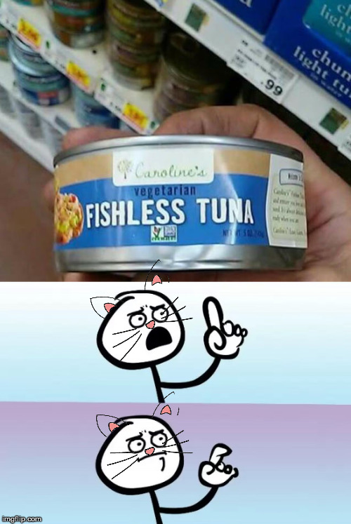 Tuna time! | image tagged in tuna,what the fish,speechless,cat memes | made w/ Imgflip meme maker