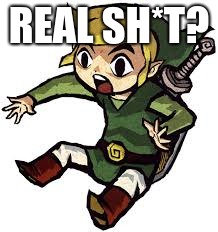 Shocked Link | REAL SH*T? | image tagged in shocked link | made w/ Imgflip meme maker