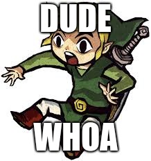 Shocked Link | DUDE WHOA | image tagged in shocked link | made w/ Imgflip meme maker