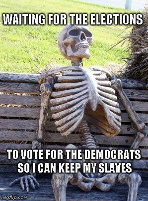 Democrat voter | WAITING FOR THE ELECTIONS; TO VOTE FOR THE DEMOCRATS SO I CAN KEEP MY SLAVES | image tagged in waiting skeleton,voting dead | made w/ Imgflip meme maker
