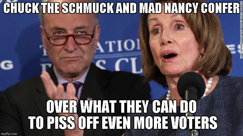 Chuck the Schmuck and Mad Nancy | CHUCK THE SCHMUCK AND MAD NANCY CONFER; OVER WHAT THEY CAN DO TO PISS OFF EVEN MORE VOTERS | image tagged in shyster,senile | made w/ Imgflip meme maker