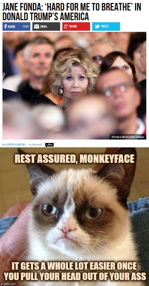 Fonda's not fond of America |  REST ASSURED, MONKEYFACE; IT GETS A WHOLE LOT EASIER ONCE YOU PULL YOUR HEAD OUT OF YOUR ASS | image tagged in jane fonda,phunny,theelliot,trump,grumpy cat,memes | made w/ Imgflip meme maker