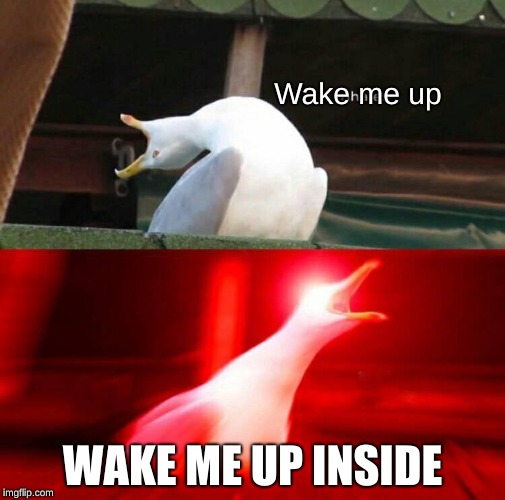 Inhaling Seagull  | Wake me up; WAKE ME UP INSIDE | image tagged in inhaling seagull | made w/ Imgflip meme maker
