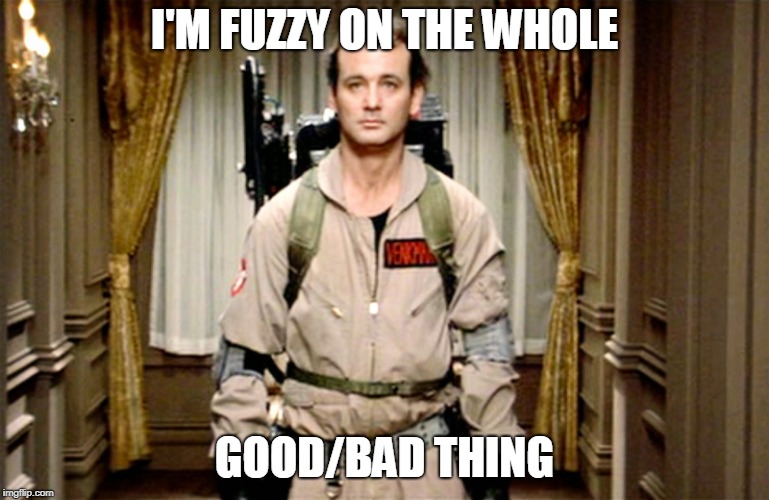 Bill Murray Ghostbusters | I'M FUZZY ON THE WHOLE GOOD/BAD THING | image tagged in bill murray ghostbusters | made w/ Imgflip meme maker